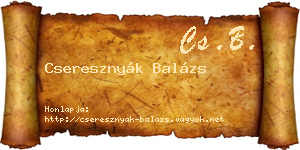 Cseresznyák Balázs névjegykártya